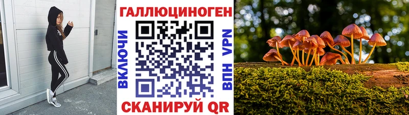 Галлюциногенные грибы GOLDEN TEACHER Богородицк